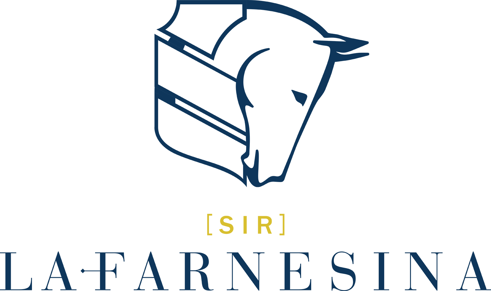 logo-ok-colore-1 (1)