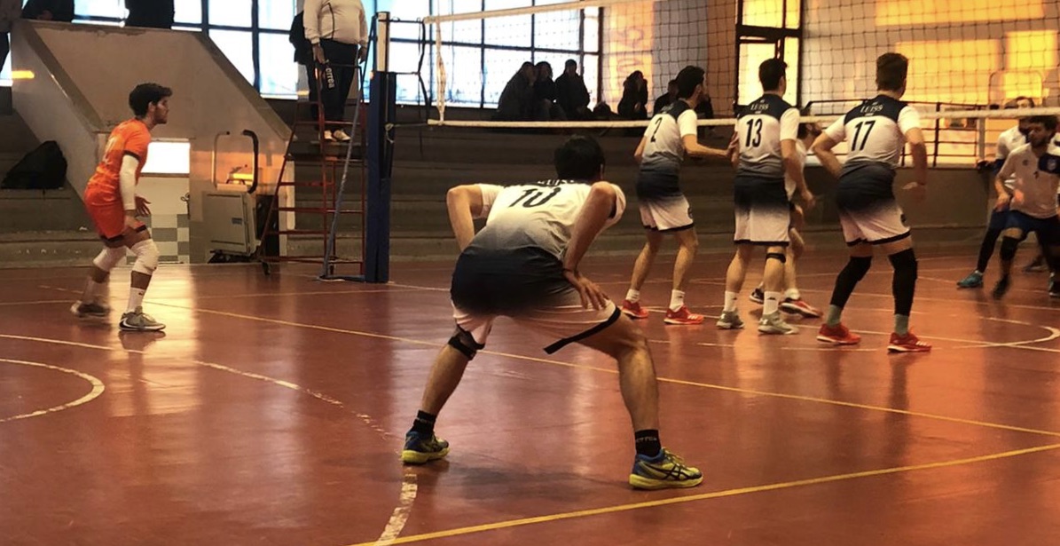 SG Volley