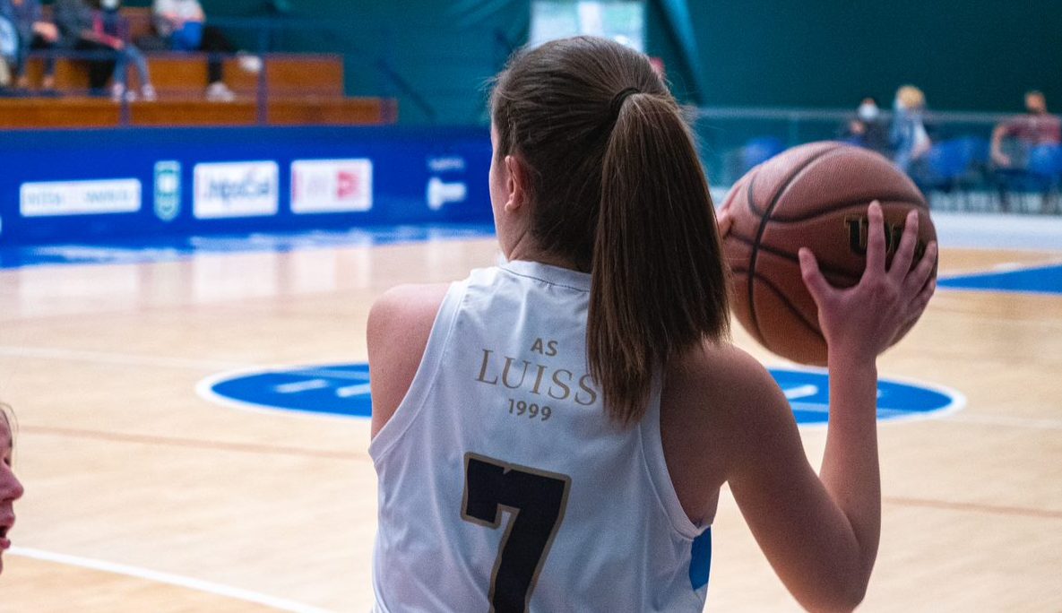 bears, palla, basket